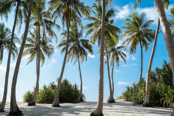 Louer une voiture à lyon : large choix, tarifs réduits et agences faciles